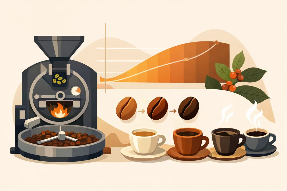Guía de tostión de café para elegir tu perfil