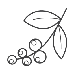Origen del café: fincas cafeteras del Quindío