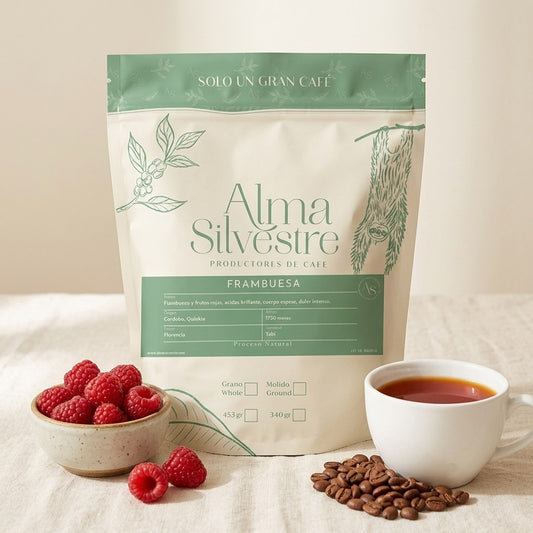 Café de especialidad Frambuesa Alma Silvestre con frambuesas frescas y taza de café filtrado